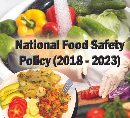 The Blueprint for Safe Eating: Developing Effective Food Safety Policies