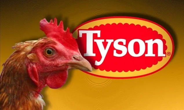 Analyzing Tyson Foods’ Avian Influenza Outbreak: Implications for Food Insurance